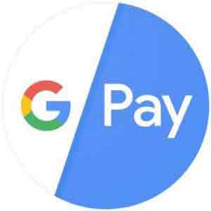 google-paya-300x300-min google-paya-300x300-min